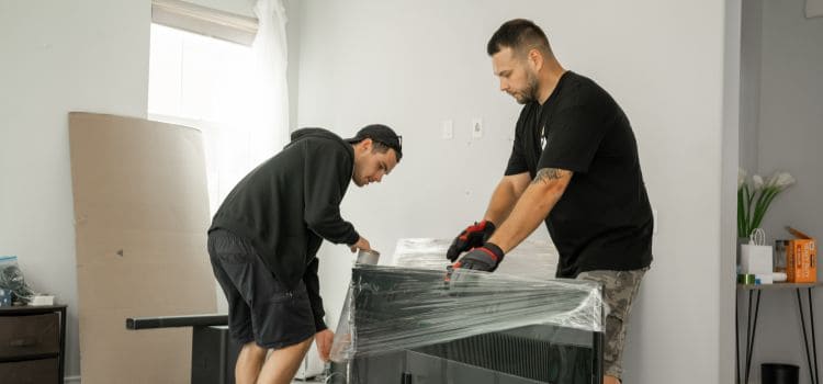 How to handle moving delays? Involve professionals in the move
