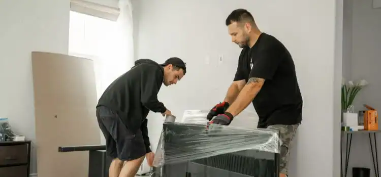 Find the best moving and packing services to streamline the relocation process