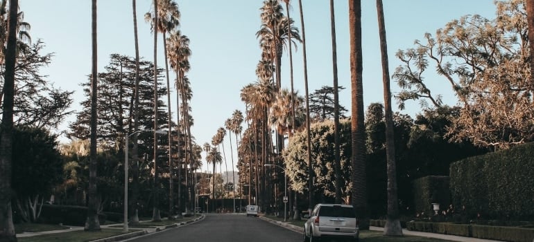 The proximity of major LA amenities makes Redondo Beach a very attractive place to live in.