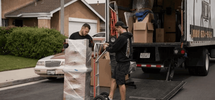 We have adequate equipment and vast experience to make your relocation stress-free