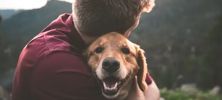 The quality of life has to be high for both you and your pet, that’s why you need to live in one of the neighborhoods in San Francisco for pet owners