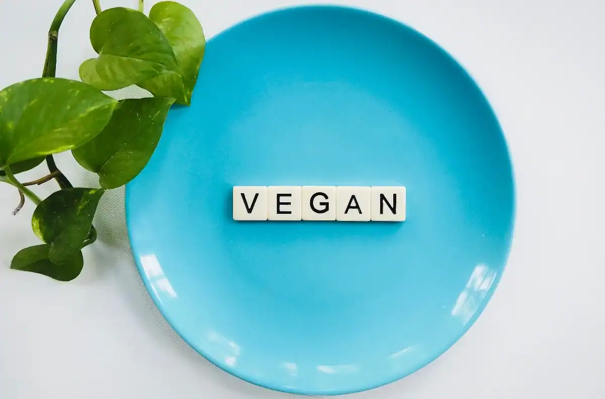 The Best Vegan Restaurants in San Francisco for New Residents