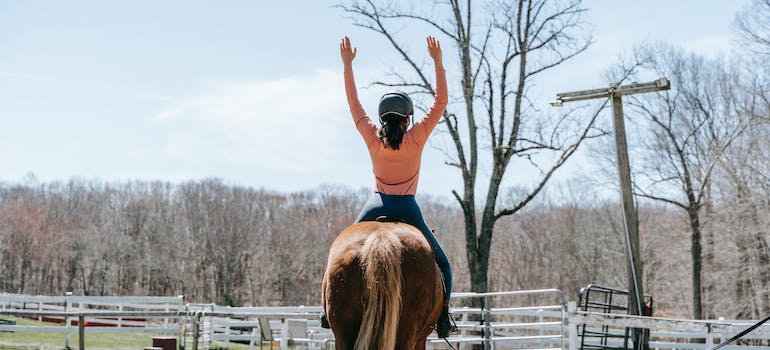 Enjoy horseback riding in Topanga State Park