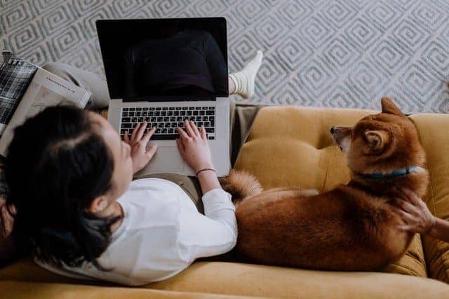 Relax and let your movers do their job.