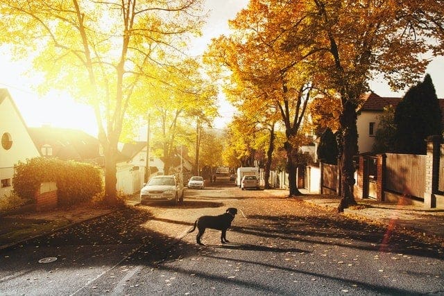 Getting to know your future neighborhood can help you prepare better for the move.