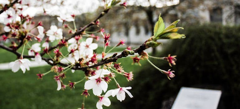 Moving to Los Angeles in spring opens up many new opportunities