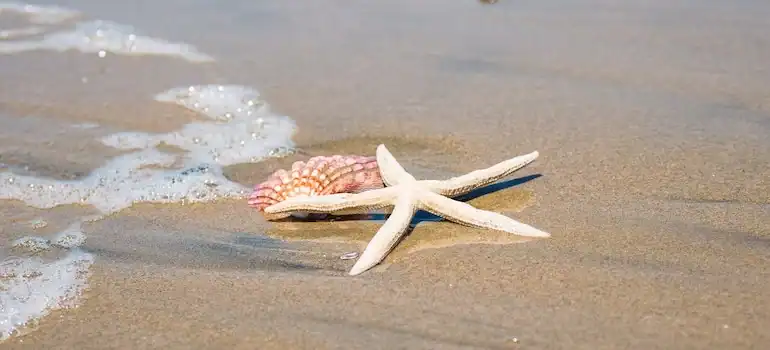 There are numerous benefits of the vicinity to LA’s beaches