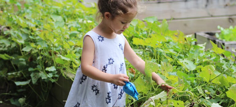 Interactive programs can help kids engage and learn about nature