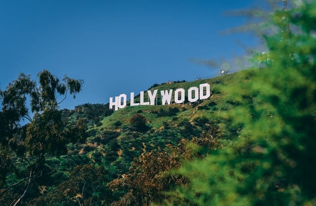Hollywood has something for everyone.