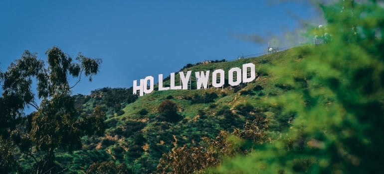 Explore pet paradise in Los Angeles, where sunny parks and pet-friendly cafes make it a perfect place for your pet’s happiness and well-being.