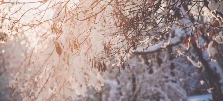 Embrace cozy evenings with warm drinks and thick blankets.