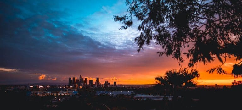 If you walk around Los Angeles, you will see an amazing beauty! Let yourself embrace this wonderful landscape, and finally, start feeling at home.