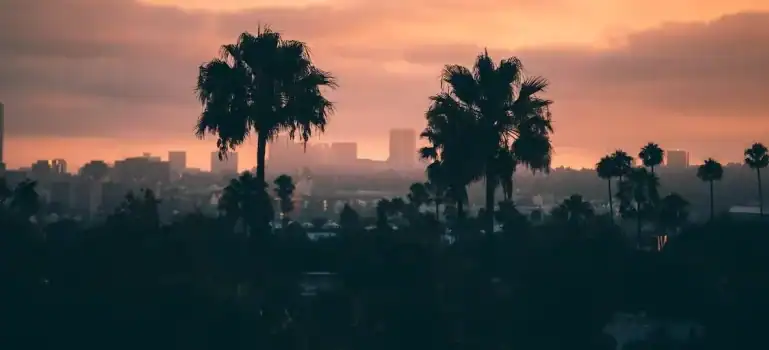 West Los Angeles is one of the best places in LA. If you decide to move there, you can find plenty of storage facilities that are tailored to your needs.
