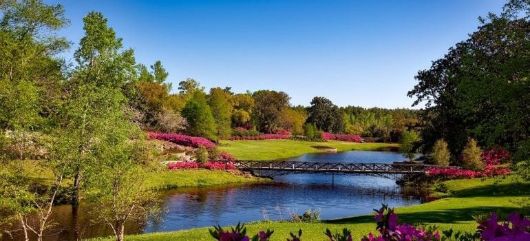 Living in one of these suburbs will allow you to enjoy nature in a way you haven’t before.