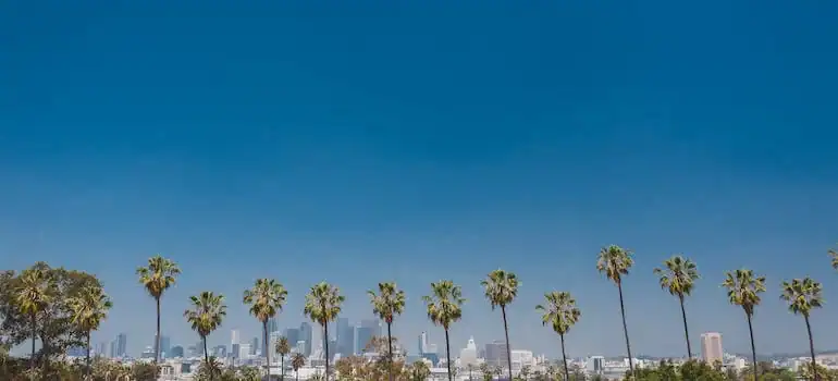 Capture the essence of LA’s amazing nightlife this New Year’s Eve!
