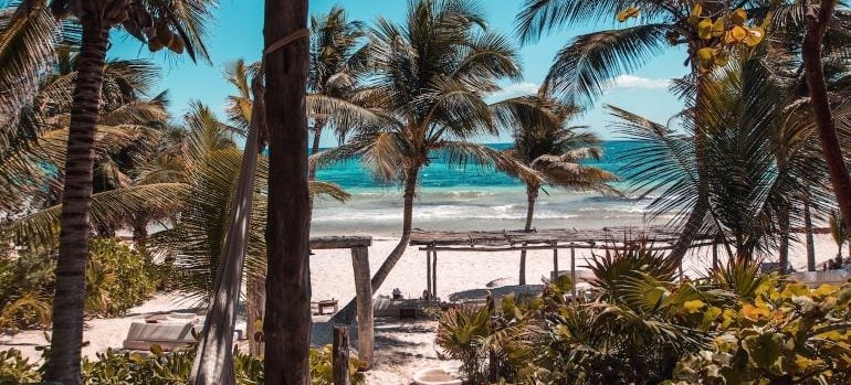 Some of the best beaches in the world are located right here in Los Angeles.