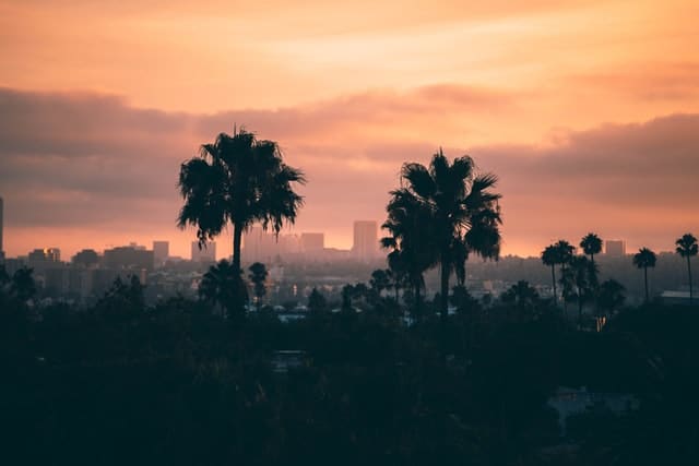 Luckily, the city of Los Angeles is so pretty that you will enjoy any business venture.