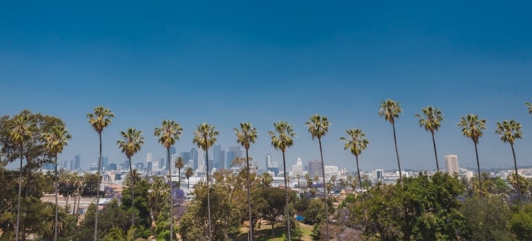 Pasadena is a city where you can really live your dream, and this is one of the reasons you should move to Pasadena in 2023.