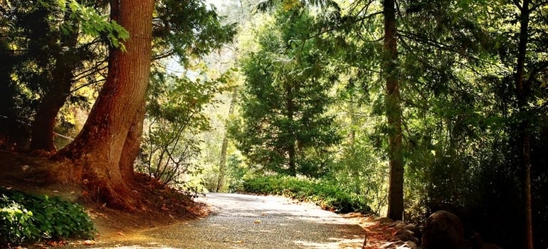 Hiking trails galore in almost all of the cities and towns we have recommended in this article