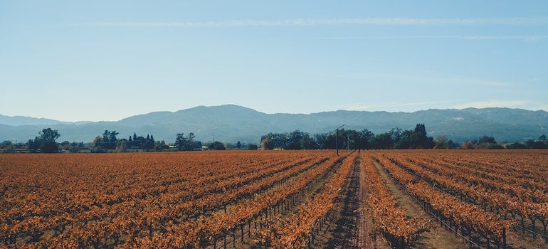 If you want to leave the town for a weekend, there are many beautiful locations just a short drive away