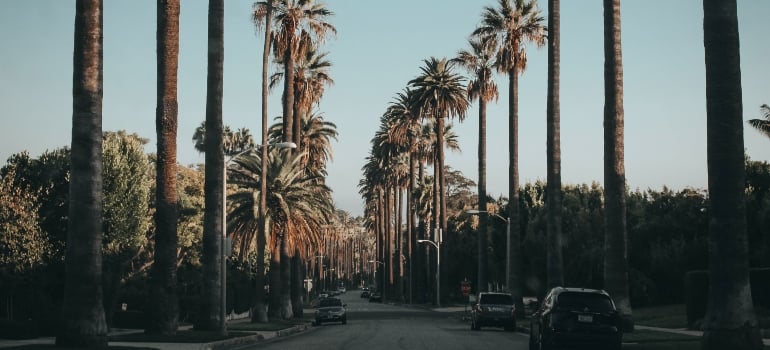 Beverly Hills is famous for its vibrant, elite lifestyle.