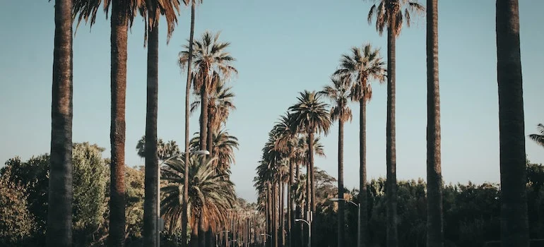 Whether you’re a visitor exploring the city’s attractions or a resident enjoying the city’s offerings, Beverly Hills offers an experience that’s as unique as the city itself.