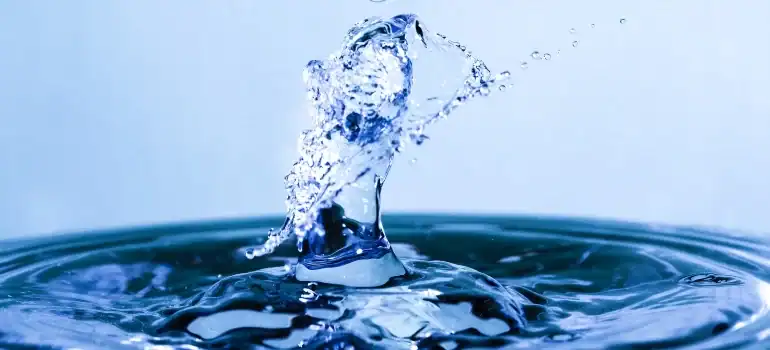When water is scarce, every drop counts